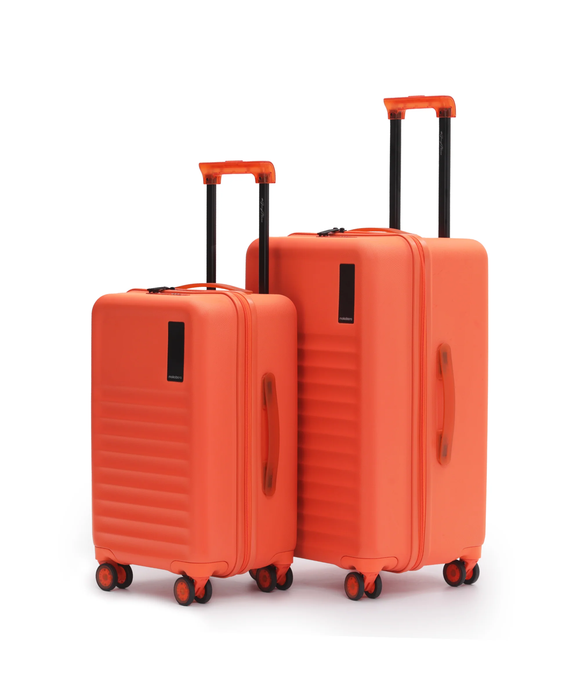 The Aisle Trunk - Set of 2 - Image 41