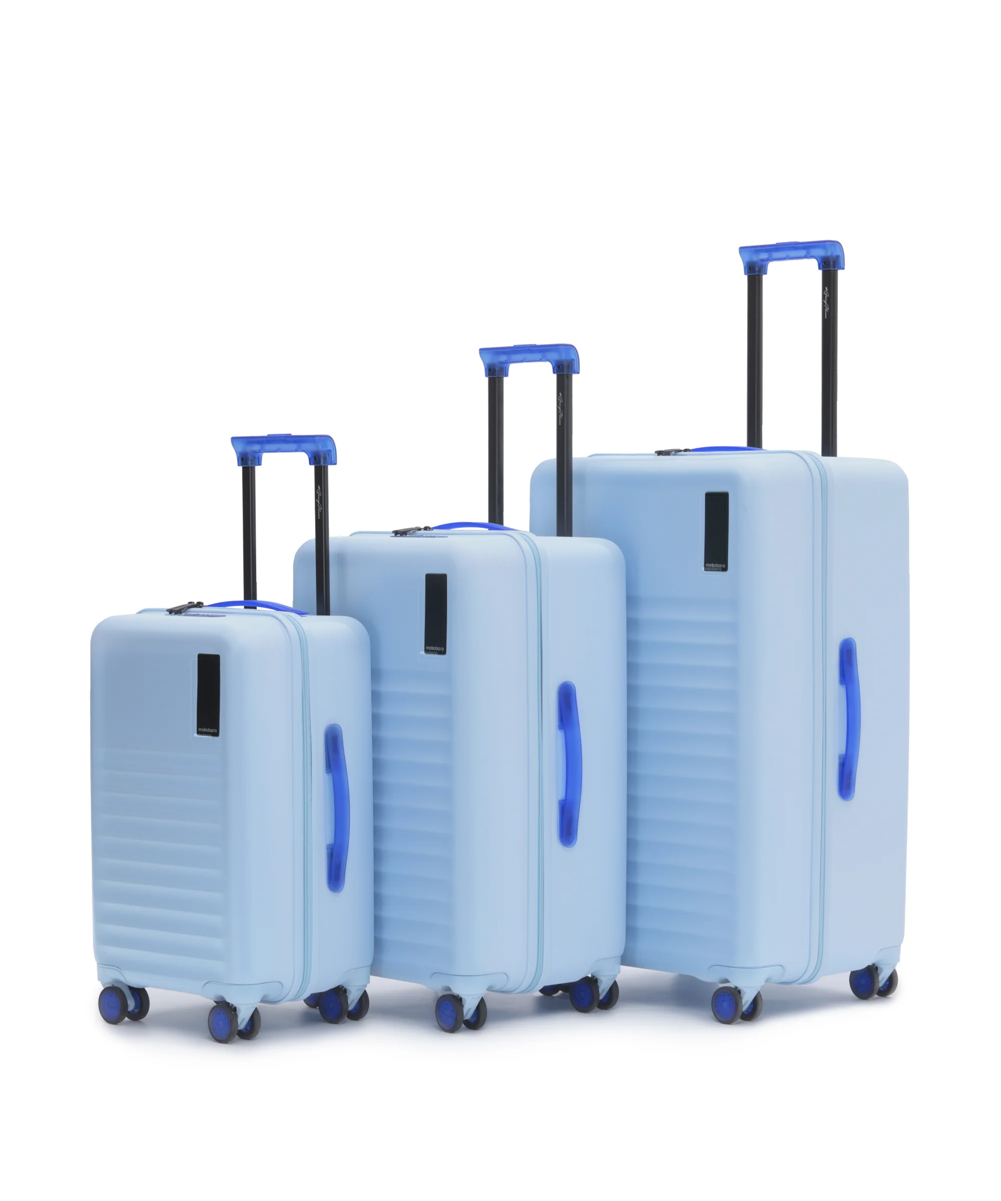 The Aisle Trunk - Set of 3 - Image 11