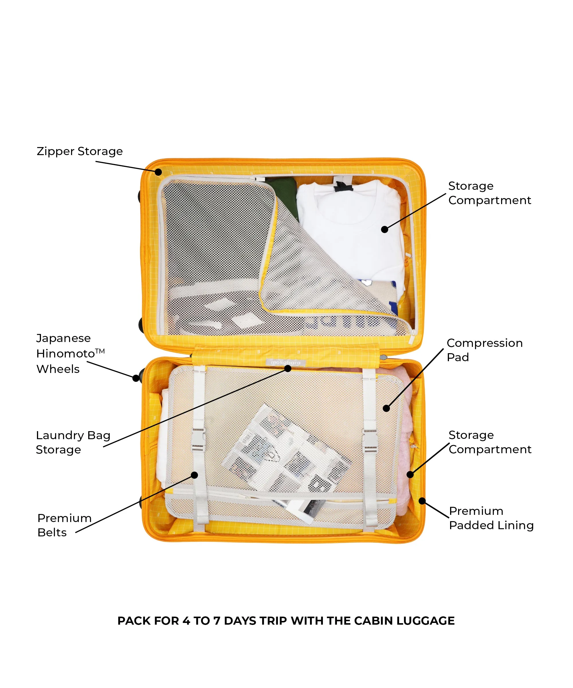 The Cabin Luggage - Image 84